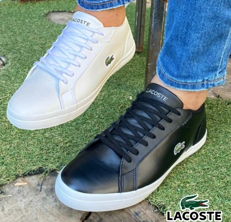 Tênis best sale lacoste centauro