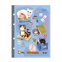 Tilibra - Refil Tiliflex Para Caderno Argolado Colegial Purrfect Cats 80 Folhas - 177mm X 240mm na Amazon