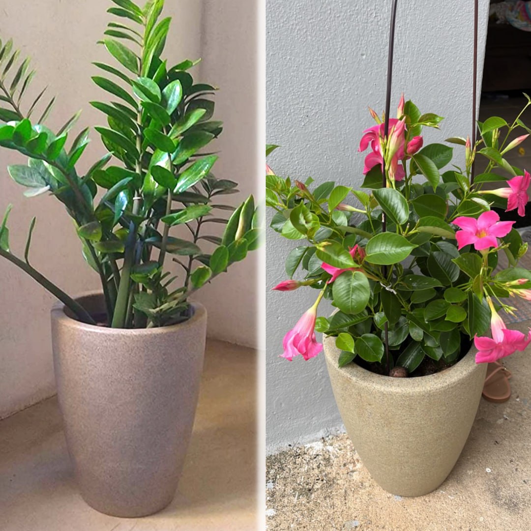 Vasart Malta Vaso de Flores, Granito Areia na Amazon