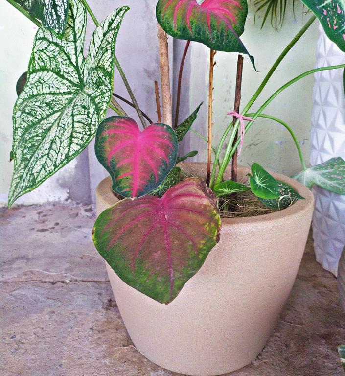 Vasart Malta Vaso de Flores Redondo, Granito Areia, 34x27cm na Amazon