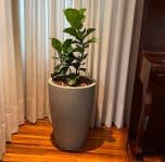 Vaso de Flores Cone, Vasart Malta – Granito Pedra, 38x55cm na Amazon