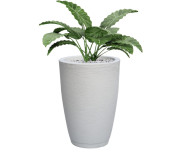 Vaso Polietileno Para Plantas Jardim Sala Luxo Cone Bojo 1 Com Prato (Branco) na Amazon