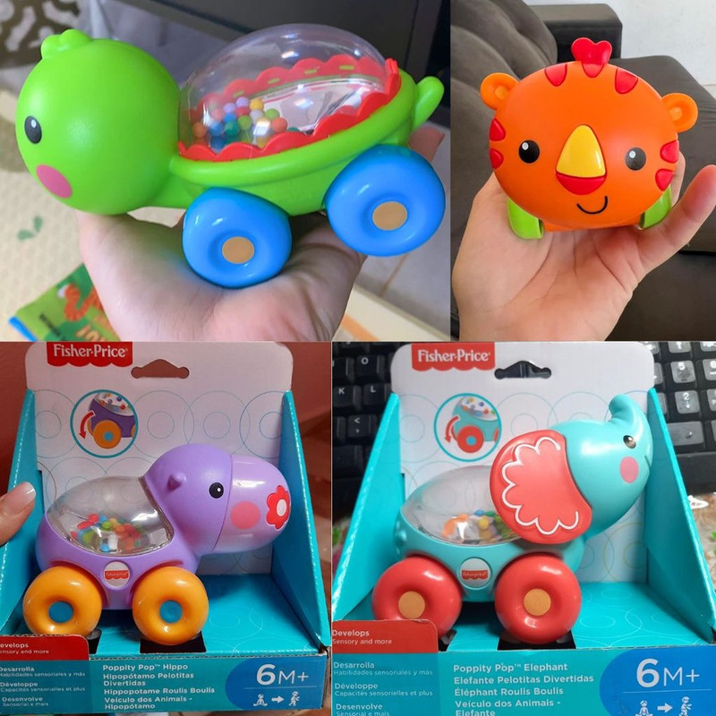 Veículos dos Animais Fisher Price, Mattel, Multicor, Cores sortidas, 1 unidade na Amazon