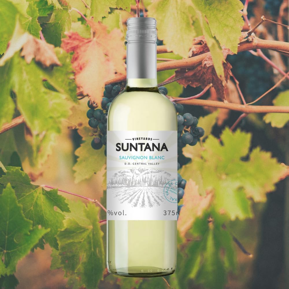 Vinho Branco Chileno Suntana Varietal Sauvignon Blanc 375ml na Amazon
