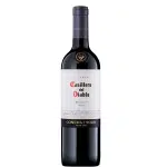 Vinho Chileno Casillero Del Diablo Merlot – 750ml na Amazon