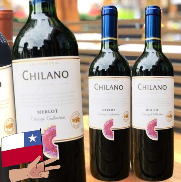 Vinho Chileno Chilano Tinto Merlot 750ml Chilano na Amazon