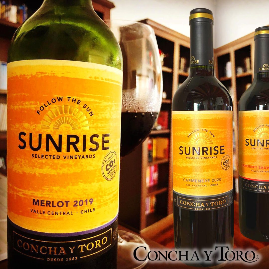 Vinho Chileno Concha Y Toro Sunrise Carmenere 750ml na Amazon
