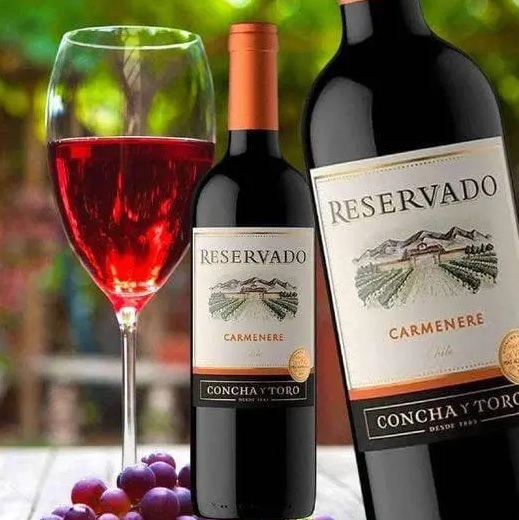 Vinho Chileno Reservado Carmenere 750ml na Amazon