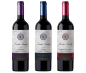 Vinho Fino Tinto Chileno Santa Loreto Varietal 750ml na Amazon