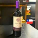 Vinho Fino Tinto Chileno Santa Loreto Varietal Carmenere 750ml na Amazon