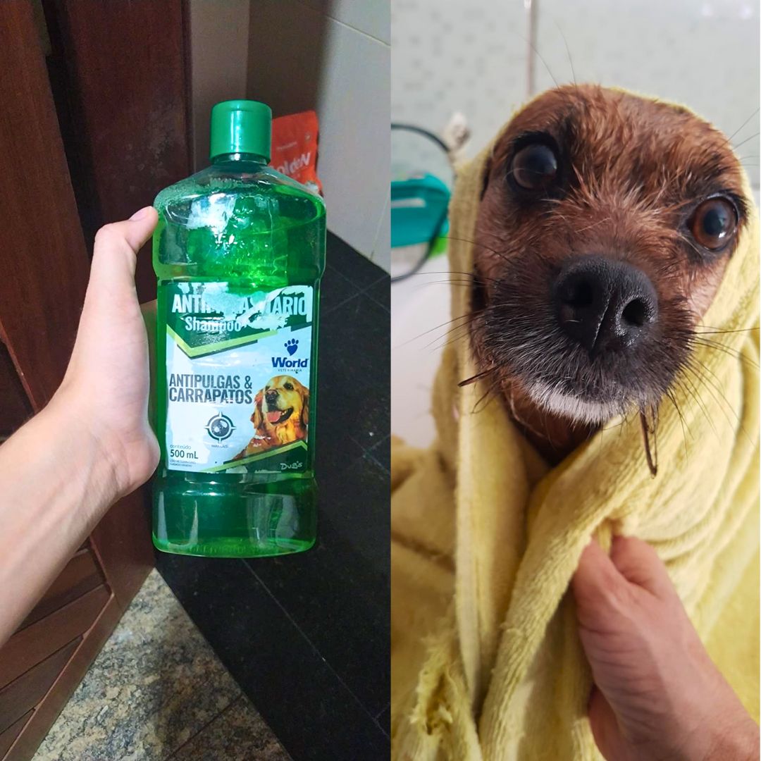 World Veterinária Shampoo Antipulgas E Carrapato Para Cães Verde 500 Ml na Amazon